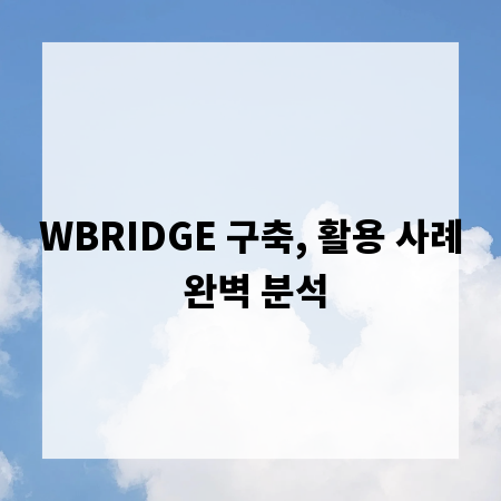 WBRIDGE 구축, 활용 사례 완벽 분석