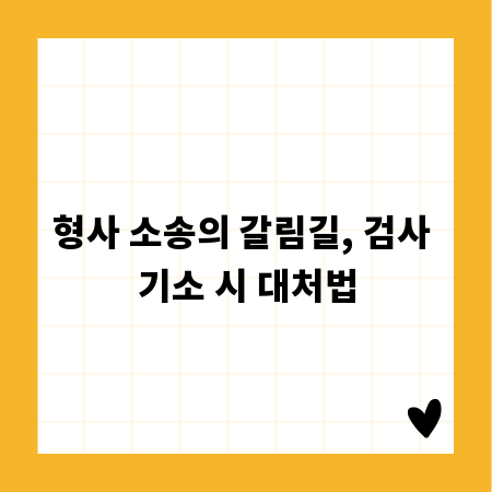 형사 소송의 갈림길, 검사 기소 시 대처법