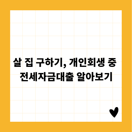 살 집 구하기, 개인회생 중 전세자금대출 알아보기