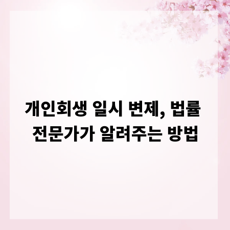 개인회생 일시 변제, 법률 전문가가 알려주는 방법