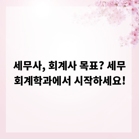 세무사, 회계사 목표? 세무회계학과에서 시작하세요!