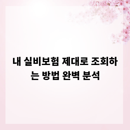 내 실비보험 제대로 조회하는 방법 완벽 분석
