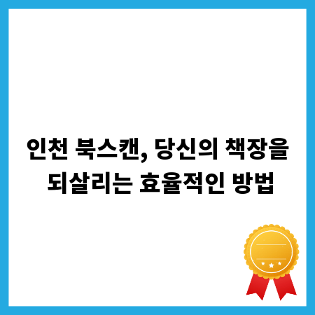 인천 북스캔, 당신의 책장을 되살리는 효율적인 방법