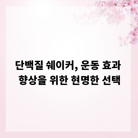 단백질 쉐이커, 운동 효과 향상을 위한 현명한 선택