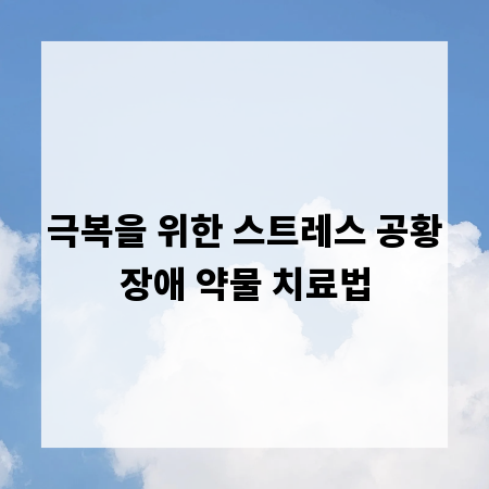 극복을 위한 스트레스 공황장애 약물 치료법