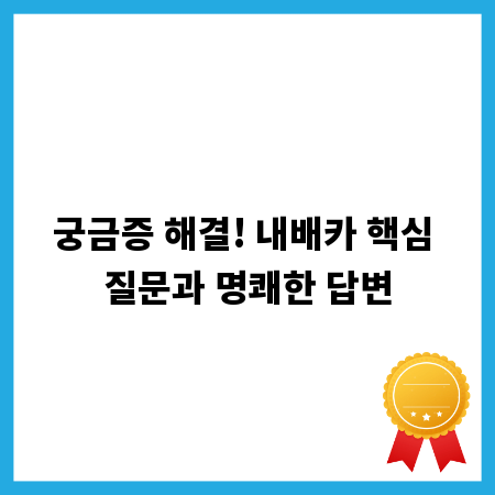 궁금증 해결! 내배카 핵심 질문과 명쾌한 답변