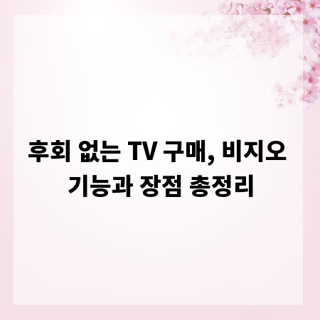 후회 없는 TV 구매, 비지오 기능과 장점 총정리