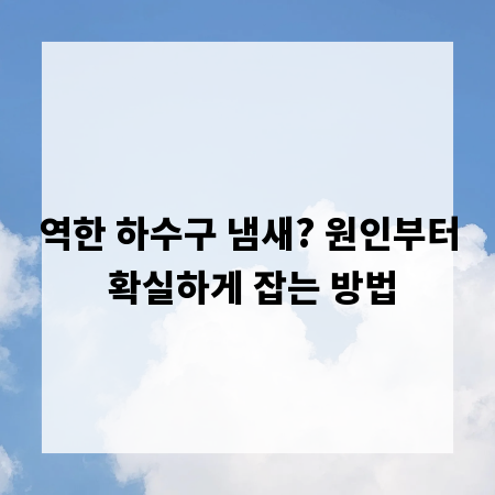 역한 하수구 냄새? 원인부터 확실하게 잡는 방법