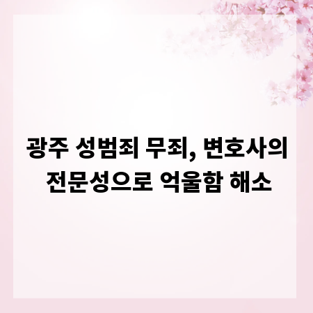 광주 성범죄 무죄, 변호사의 전문성으로 억울함 해소