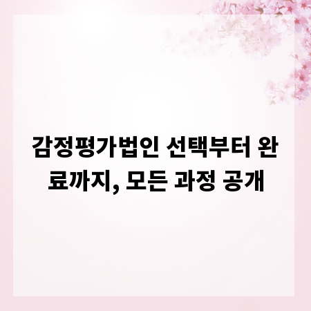 감정평가법인 선택부터 완료까지, 모든 과정 공개
