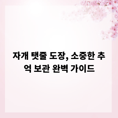 자개 탯줄 도장, 소중한 추억 보관 완벽 가이드