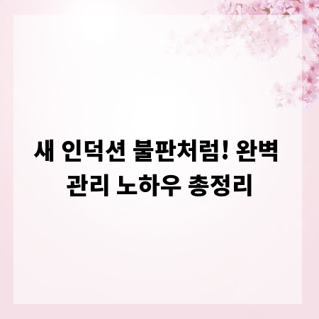 새 인덕션 불판처럼! 완벽 관리 노하우 총정리
