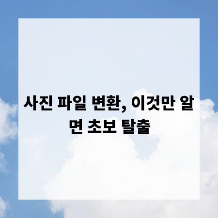 사진 파일 변환, 이것만 알면 초보 탈출