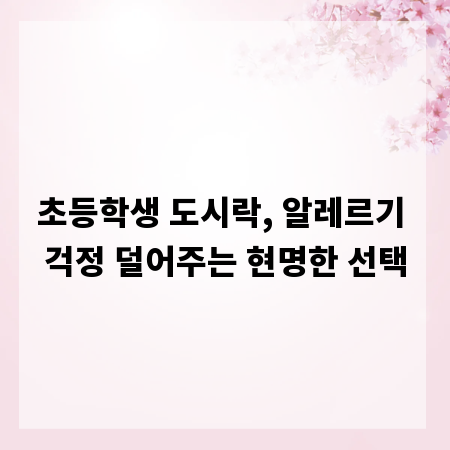 초등학생 도시락, 알레르기 걱정 덜어주는 현명한 선택
