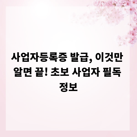 사업자등록증 발급, 이것만 알면 끝! 초보 사업자 필독 정보