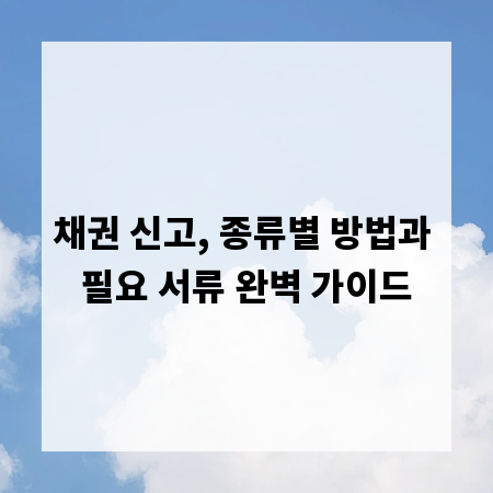 채권 신고, 종류별 방법과 필요 서류 완벽 가이드