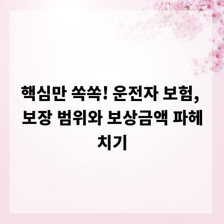 핵심만 쏙쏙! 운전자 보험, 보장 범위와 보상금액 파헤치기