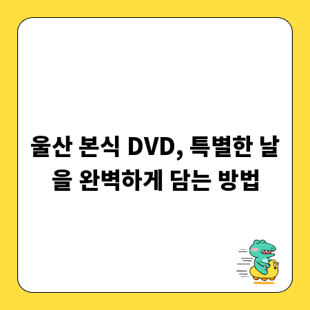울산 본식 DVD, 특별한 날을 완벽하게 담는 방법