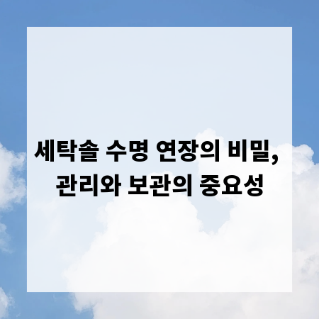 세탁솔 수명 연장의 비밀, 관리와 보관의 중요성