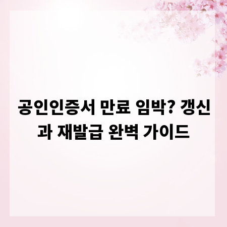 공인인증서 만료 임박? 갱신과 재발급 완벽 가이드