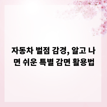 자동차 벌점 감경, 알고 나면 쉬운 특별 감면 활용법