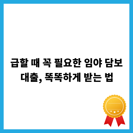 급할 때 꼭 필요한 임야 담보대출, 똑똑하게 받는 법