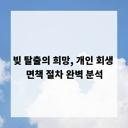 빚 탈출의 희망, 개인 회생 면책 절차 완벽 분석