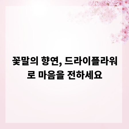 꽃말의 향연, 드라이플라워로 마음을 전하세요