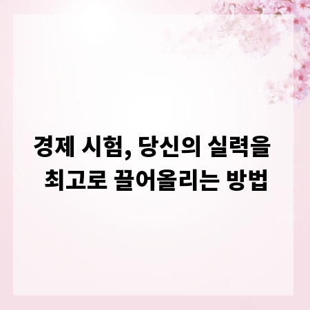 경제 시험, 당신의 실력을 최고로 끌어올리는 방법