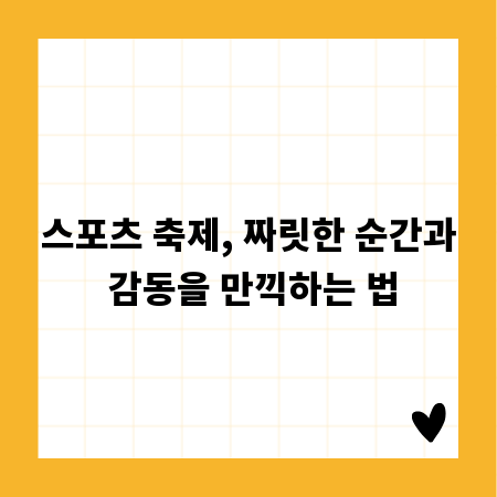 스포츠 축제, 짜릿한 순간과 감동을 만끽하는 법