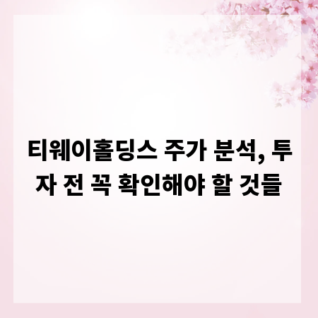 티웨이홀딩스 주가 분석, 투자 전 꼭 확인해야 할 것들