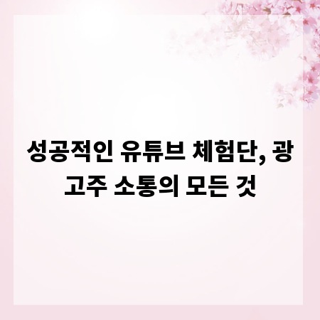 성공적인 유튜브 체험단, 광고주 소통의 모든 것