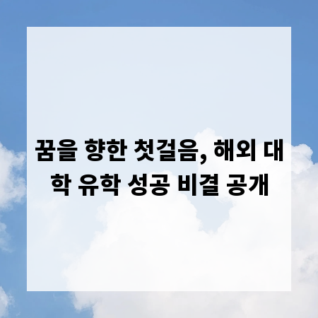 꿈을 향한 첫걸음, 해외 대학 유학 성공 비결 공개