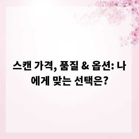 스캔 가격, 품질 & 옵션: 나에게 맞는 선택은?