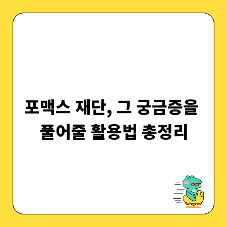 포맥스 재단, 그 궁금증을 풀어줄 활용법 총정리