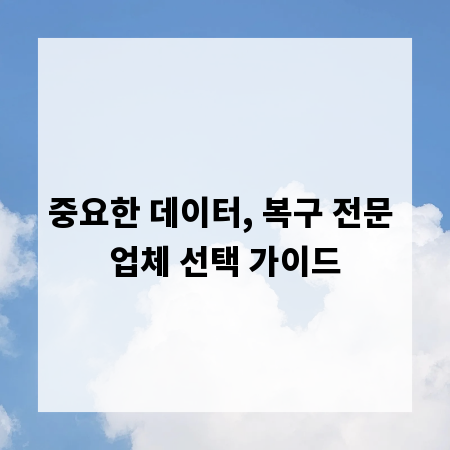 중요한 데이터, 복구 전문 업체 선택 가이드