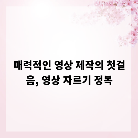 매력적인 영상 제작의 첫걸음, 영상 자르기 정복