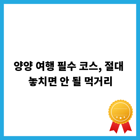 양양 여행 필수 코스, 절대 놓치면 안 될 먹거리