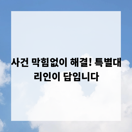 사건 막힘없이 해결! 특별대리인이 답입니다