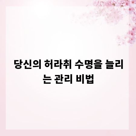 당신의 허라취 수명을 늘리는 관리 비법