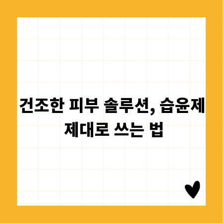 건조한 피부 솔루션, 습윤제 제대로 쓰는 법