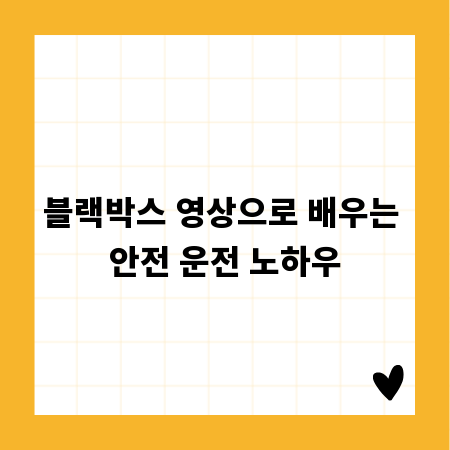 블랙박스 영상으로 배우는 안전 운전 노하우