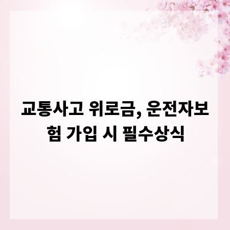 교통사고 위로금, 운전자보험 가입 시 필수상식
