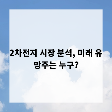 2차전지 시장 분석, 미래 유망주는 누구?