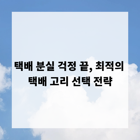 택배 분실 걱정 끝, 최적의 택배 고리 선택 전략