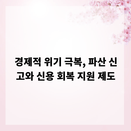 경제적 위기 극복, 파산 신고와 신용 회복 지원 제도