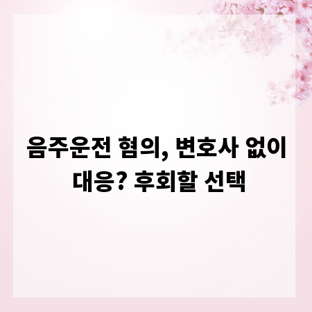 음주운전 혐의, 변호사 없이 대응? 후회할 선택