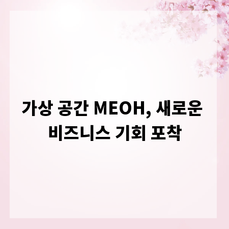 가상 공간 MEOH, 새로운 비즈니스 기회 포착
