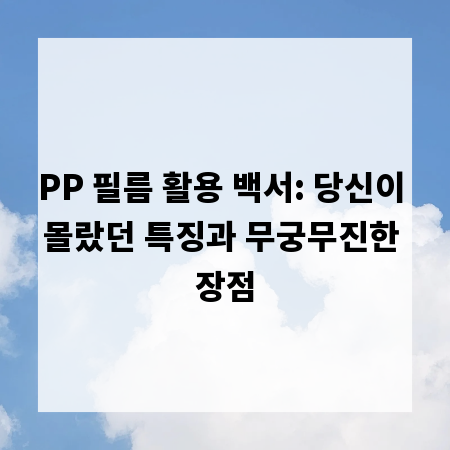 PP 필름 활용 백서: 당신이 몰랐던 특징과 무궁무진한 장점