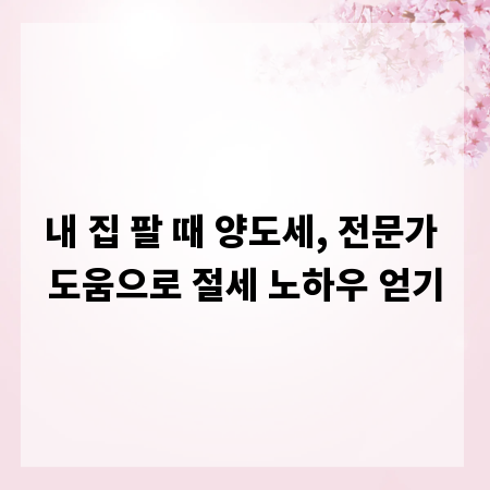 내 집 팔 때 양도세, 전문가 도움으로 절세 노하우 얻기